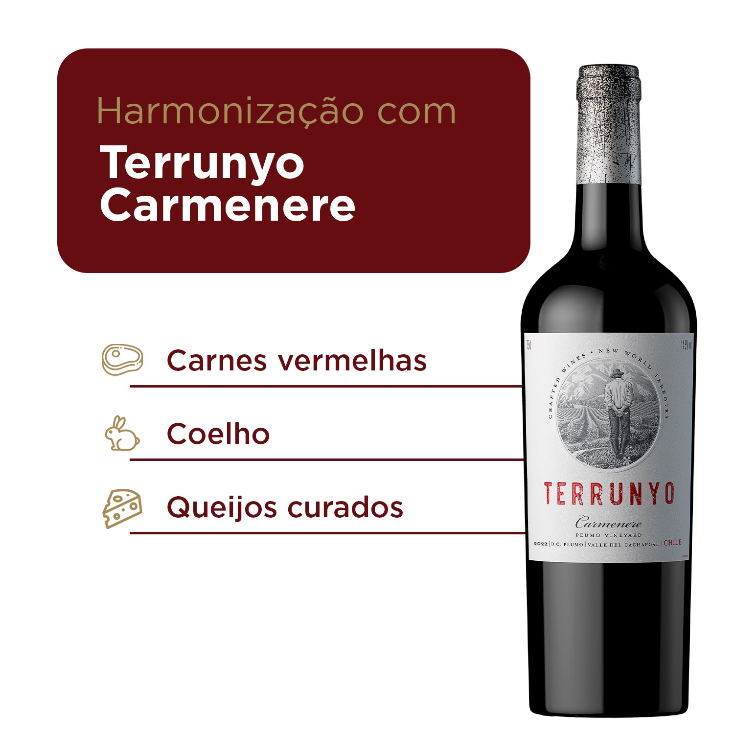 Terrunyo Carmenere