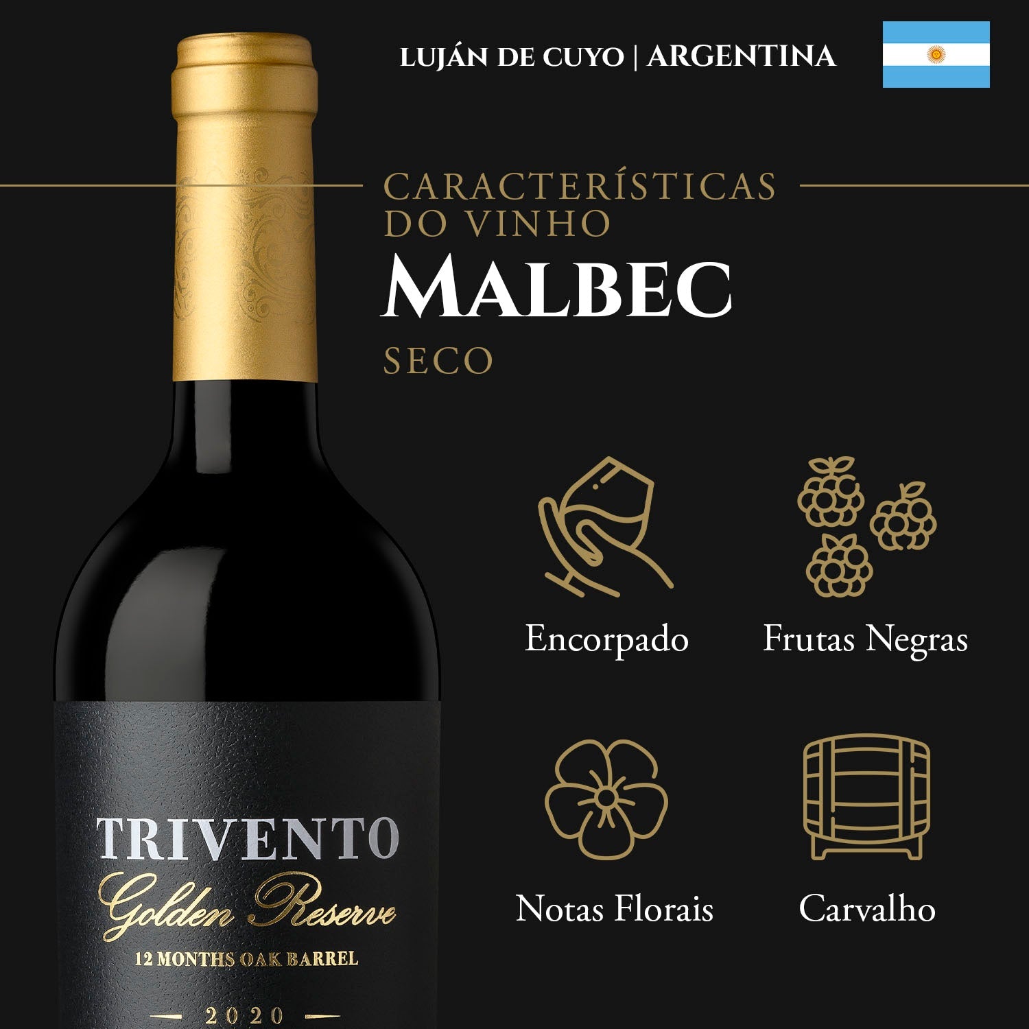 Trivento Golden Reserve Malbec
