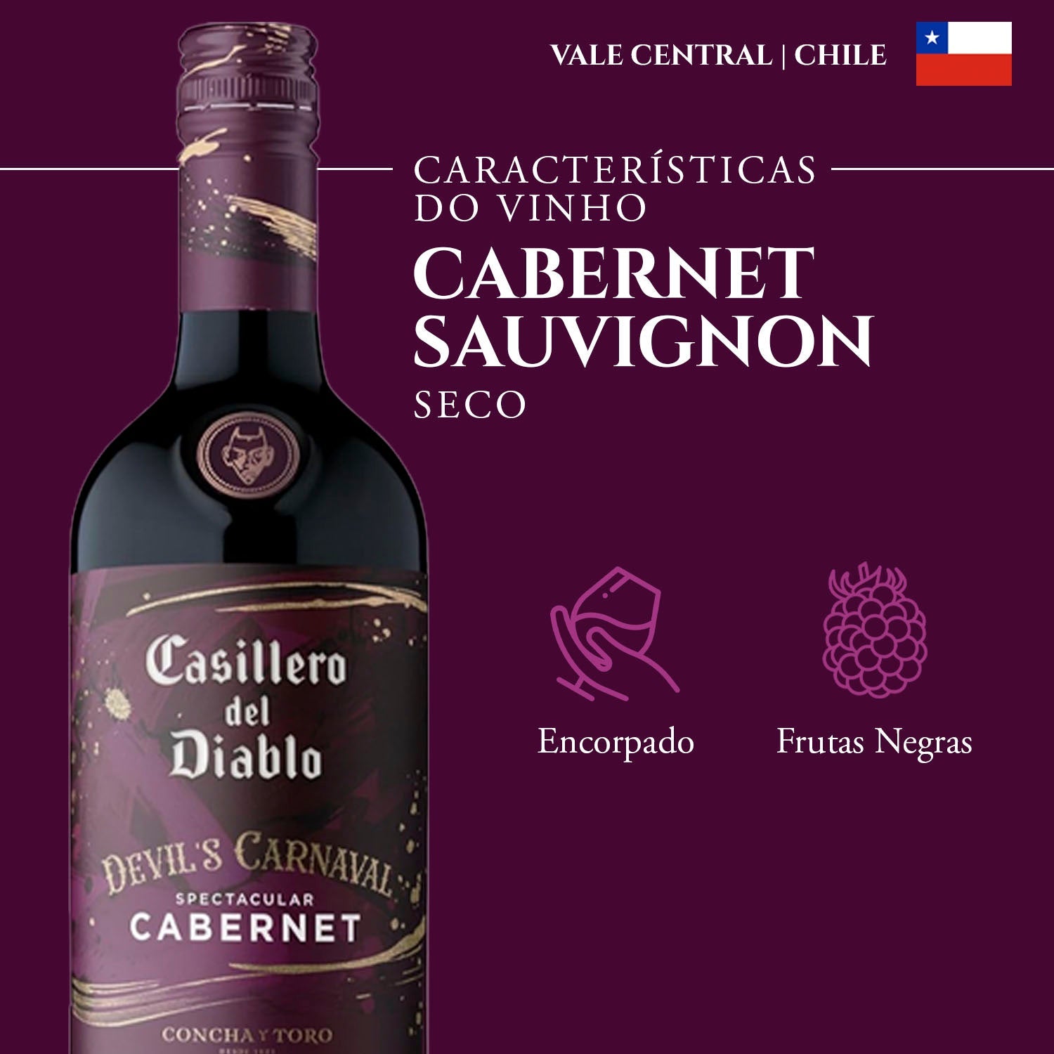 Casillero del Diablo Devil's Carnaval Spectacular Cabernet