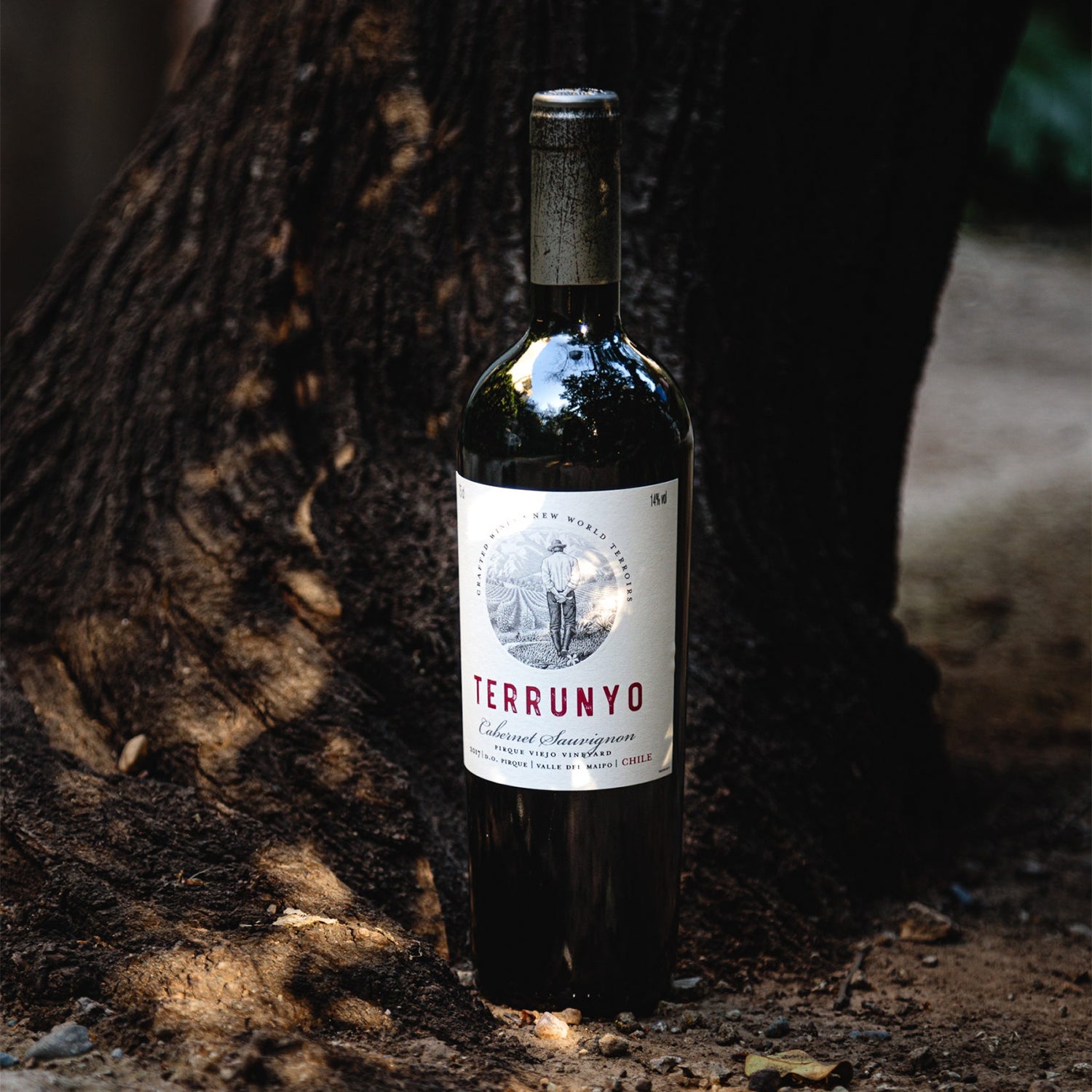 Terrunyo Cabernet Sauvignon