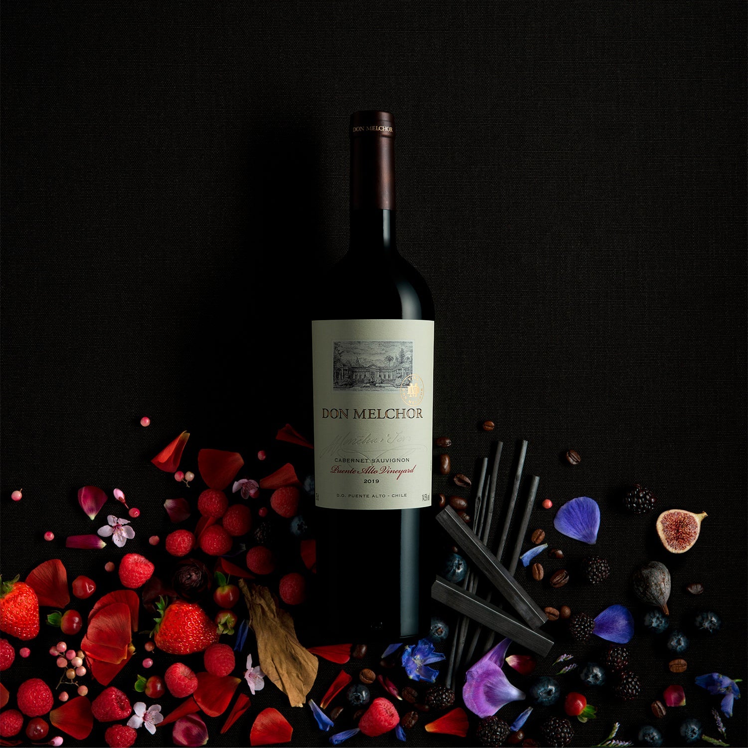 Don Melchor Cabernet Sauvignon 2019