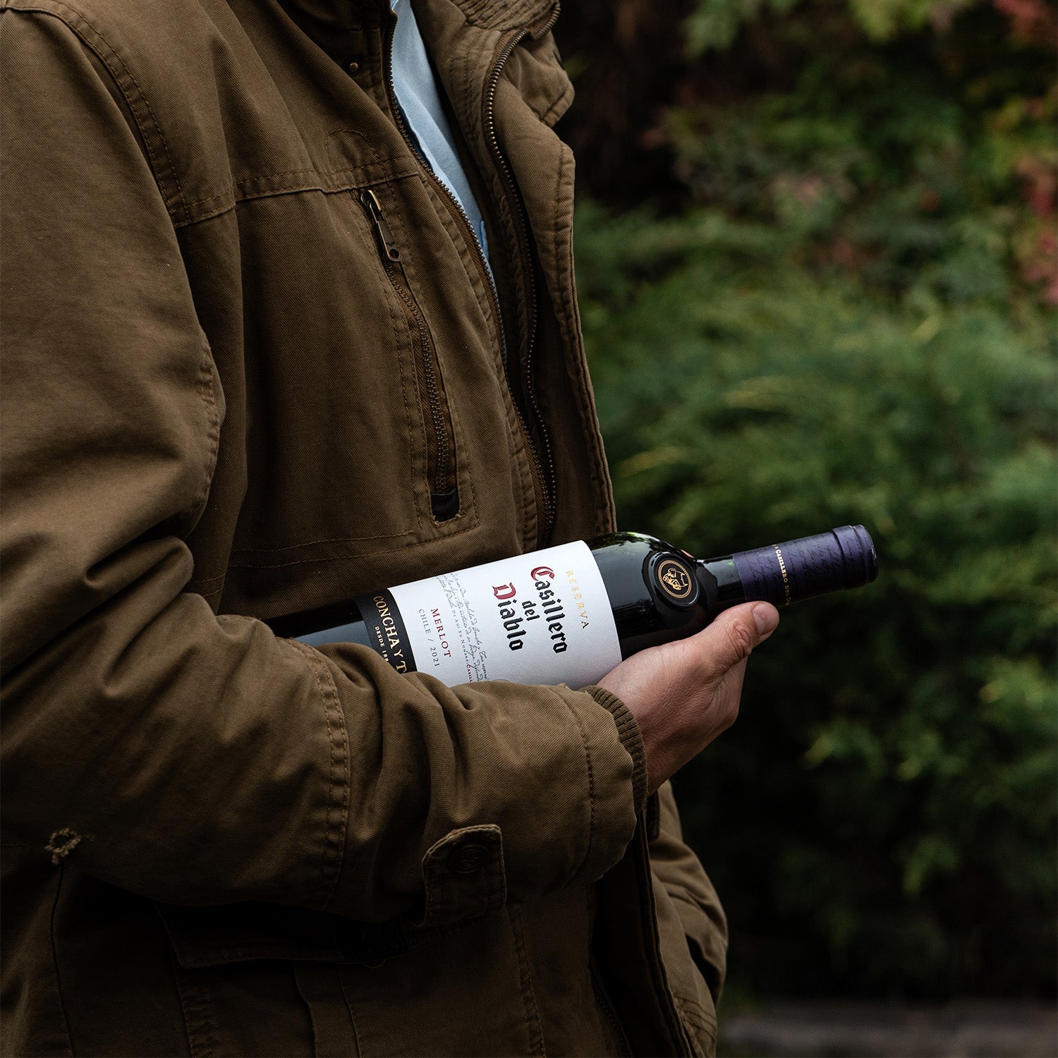 Casillero del Diablo Merlot