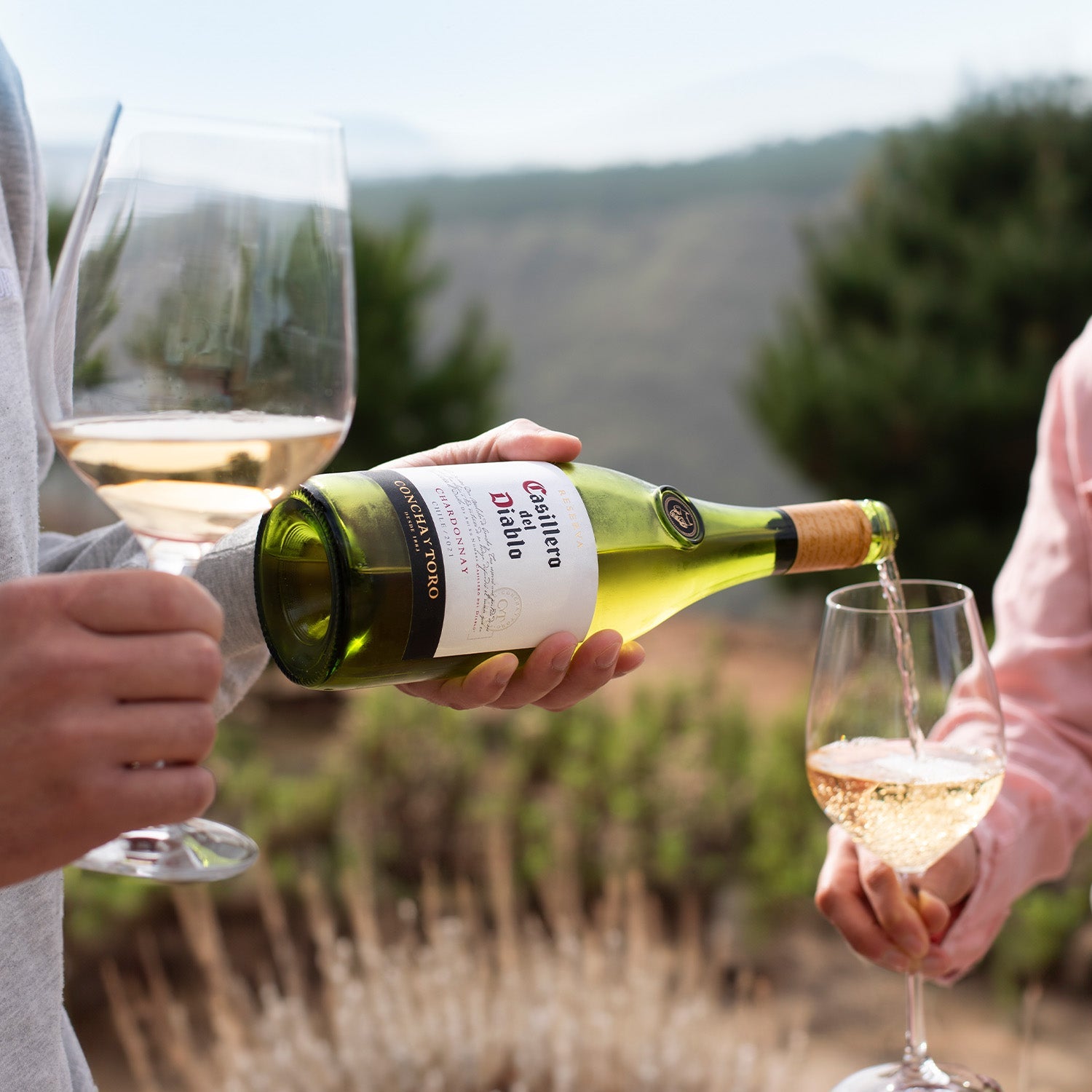 Casillero del Diablo Chardonnay