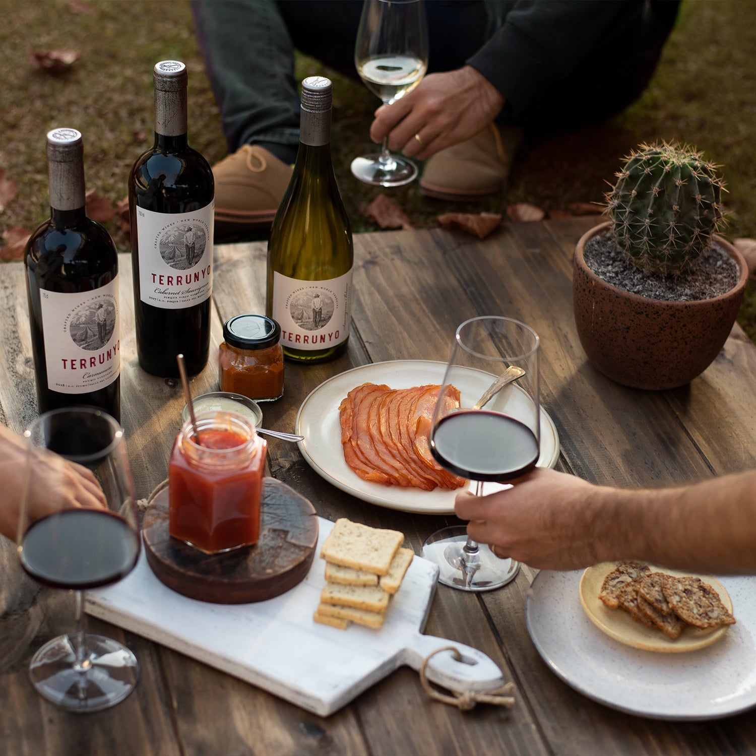 Terrunyo Sauvignon Blanc