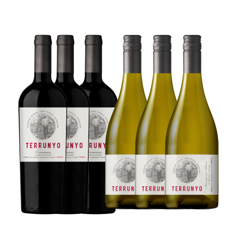 Kit 3 Vinhos Chilenos Terrunyo Carmenere & 3 Terrunyo Sauvignon Blanc