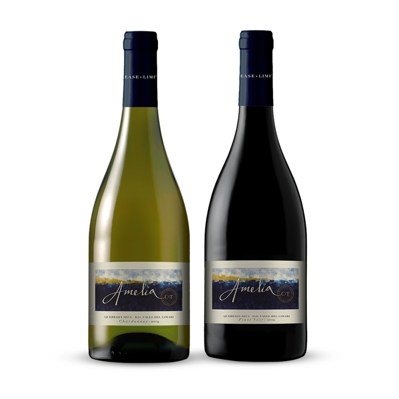 Kit Amelia Pinot Noir & Chardonnay - 2 garrafas