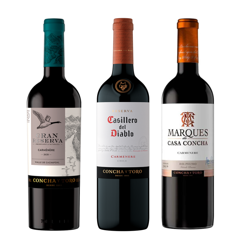 Kit Carmenere Especiais 750ml - 3 garrafas