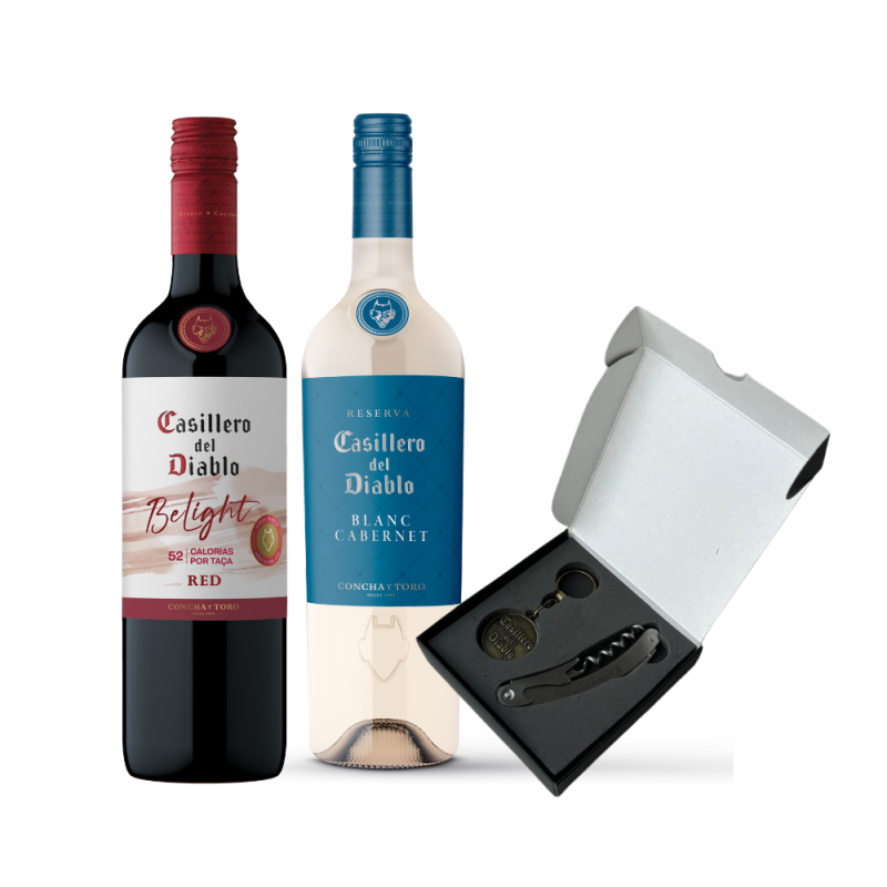 Kit Casillero Del Diablo Experience