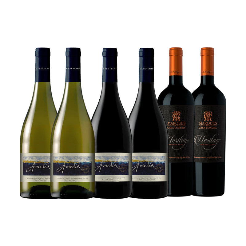 Kit Especial Alma Premium - 6 garrafas