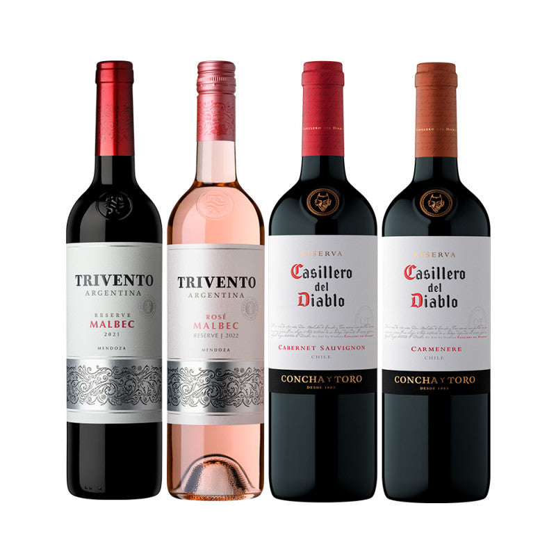 Kit Vinhos Argentina & Chile 750ml - 4 garrafas