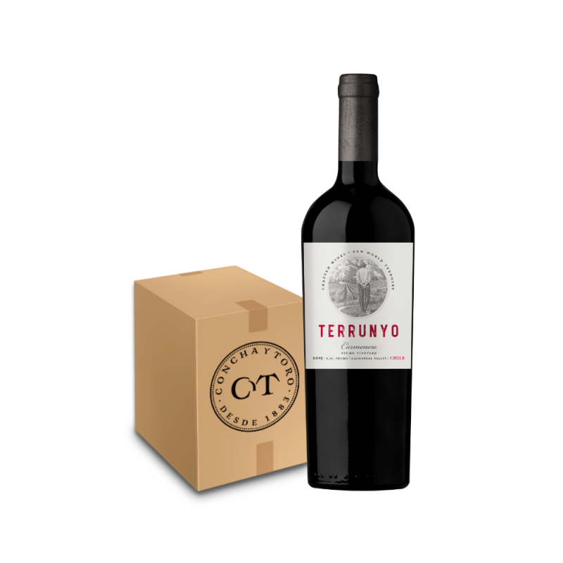 Leve 6 Pague 2 - Terrunyo Carmenere 750ml